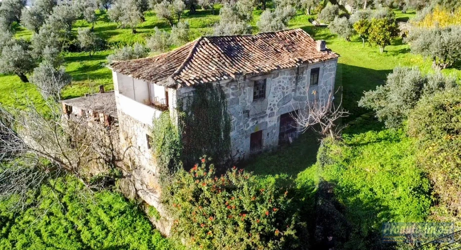 Quinta T3 para Venda em Alpedrinha Foto 10