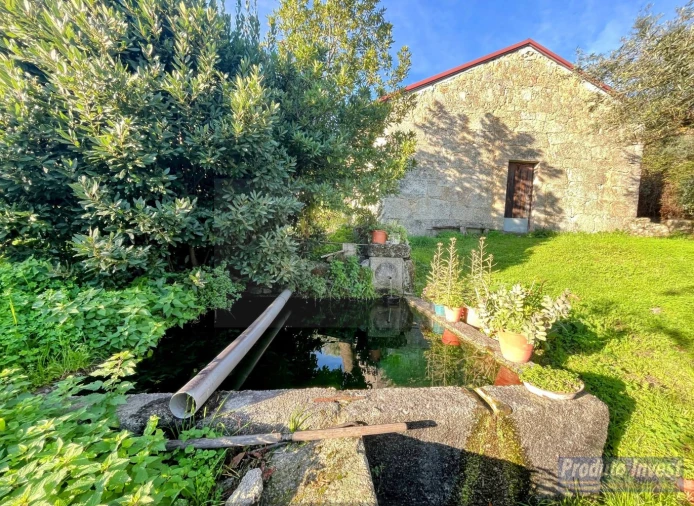 Quinta T3 para Venda em Alpedrinha