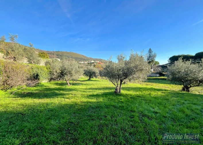 Quinta T3 para Venda em Alpedrinha Foto 18