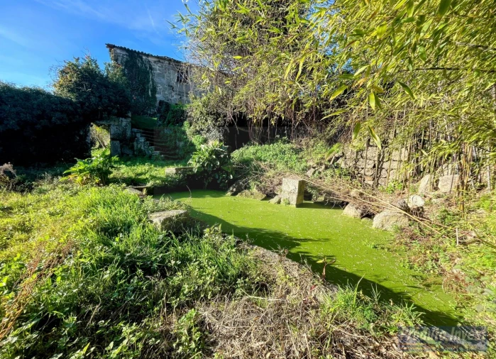 Quinta T3 para Venda em Alpedrinha Foto 9