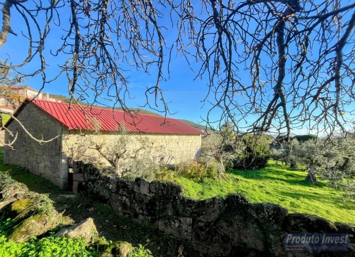 Quinta T3 para Venda em Alpedrinha Foto 15