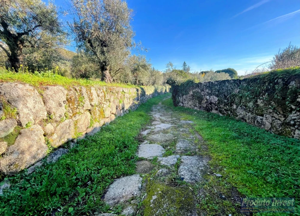 Quinta T3 para Venda em Alpedrinha Foto 16