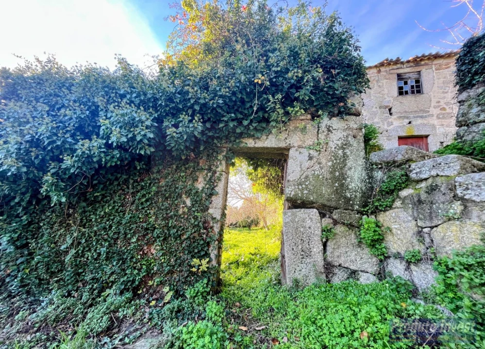 Quinta T3 para Venda em Alpedrinha Foto 3