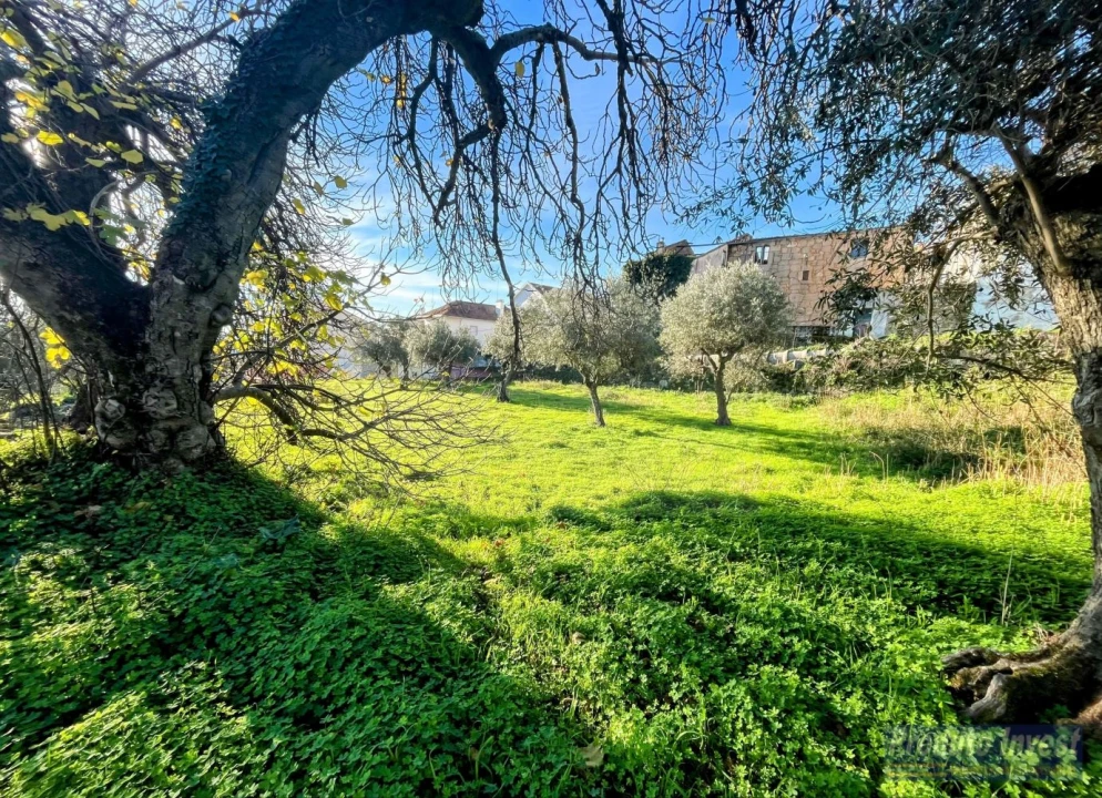 Quinta T3 para Venda em Alpedrinha Foto 14