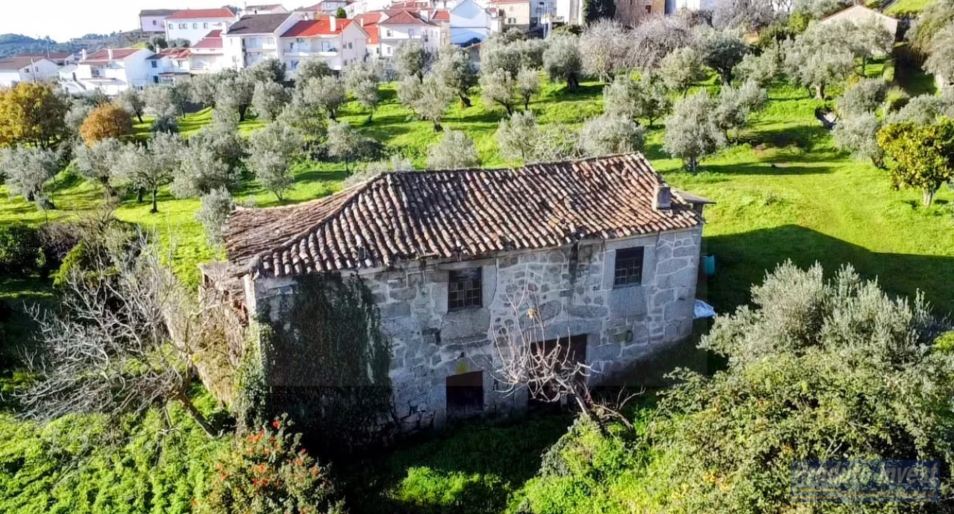 Quinta T3 para Venda em Alpedrinha Foto 6