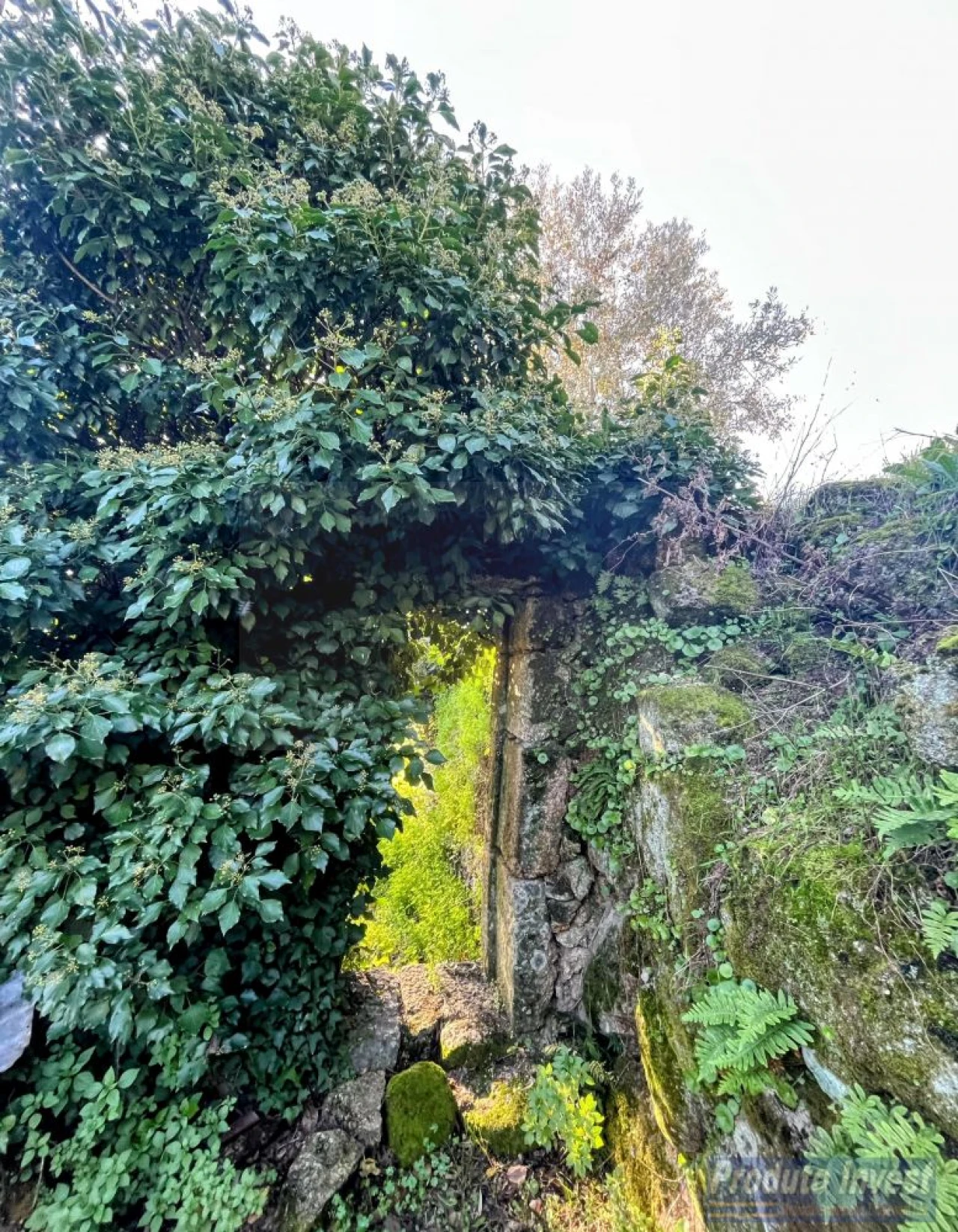 Quinta T3 para Venda em Alpedrinha Foto 7