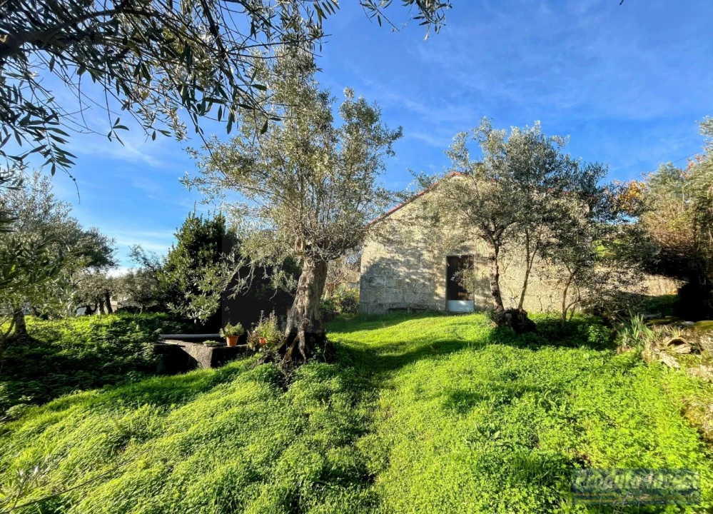 Quinta T3 para Venda em Alpedrinha Foto 4