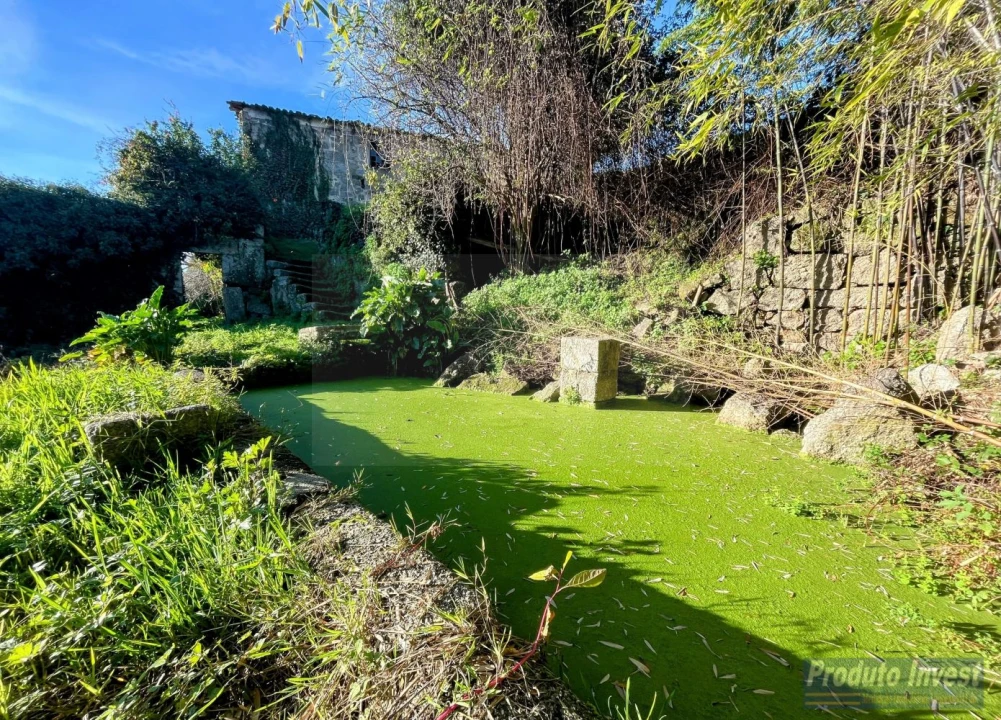 Quinta T3 para Venda em Alpedrinha Foto 20