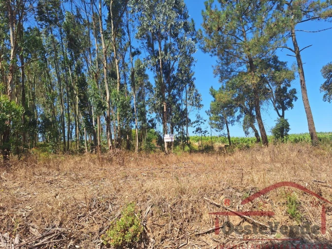 Terreno para Venda em Alcoentre Foto 6
