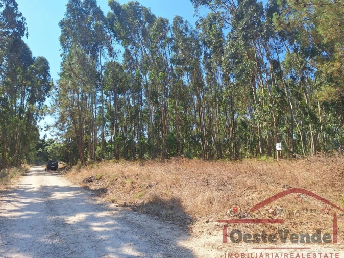 Terreno para Venda em Alcoentre Foto 5