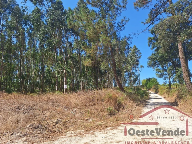 Terreno para Venda em Alcoentre Foto 3