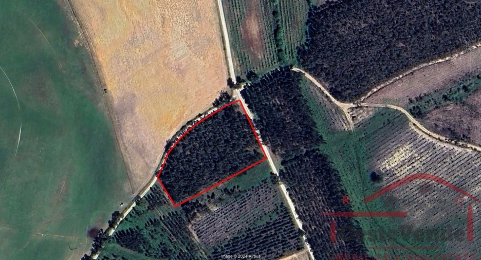 Terreno para Venda em Alcoentre Foto 13