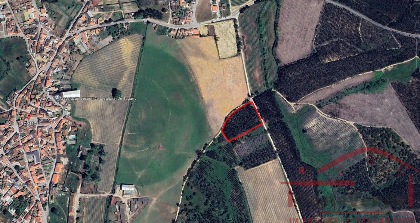 Terreno para Venda em Alcoentre Foto 14