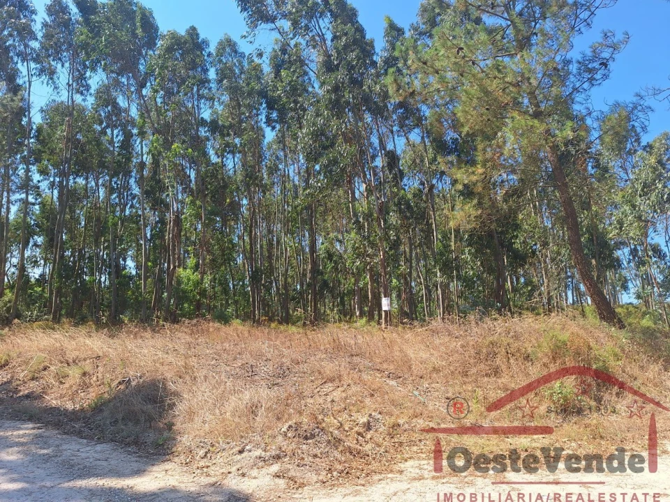 Terreno para Venda em Alcoentre Foto 4