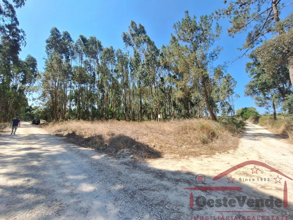 Terreno para Venda em Alcoentre Foto 2