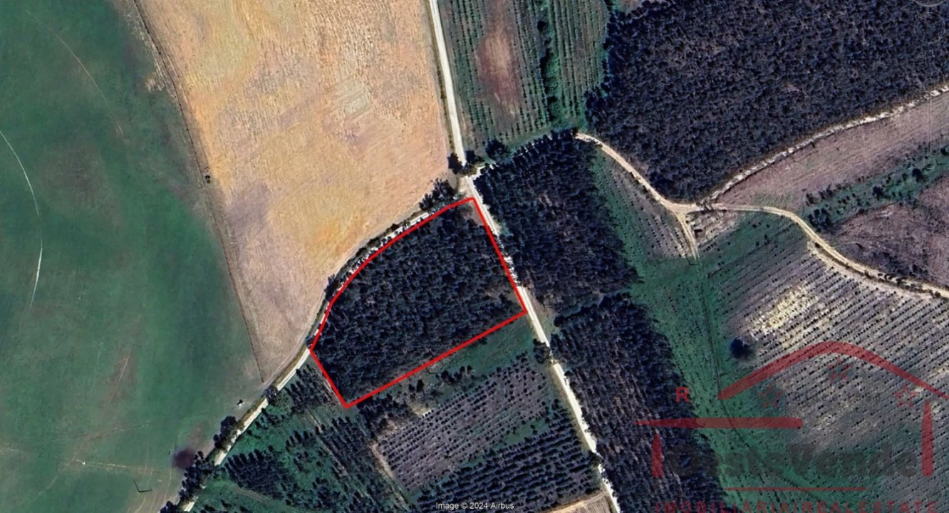 Terreno para Venda em Alcoentre Foto 13