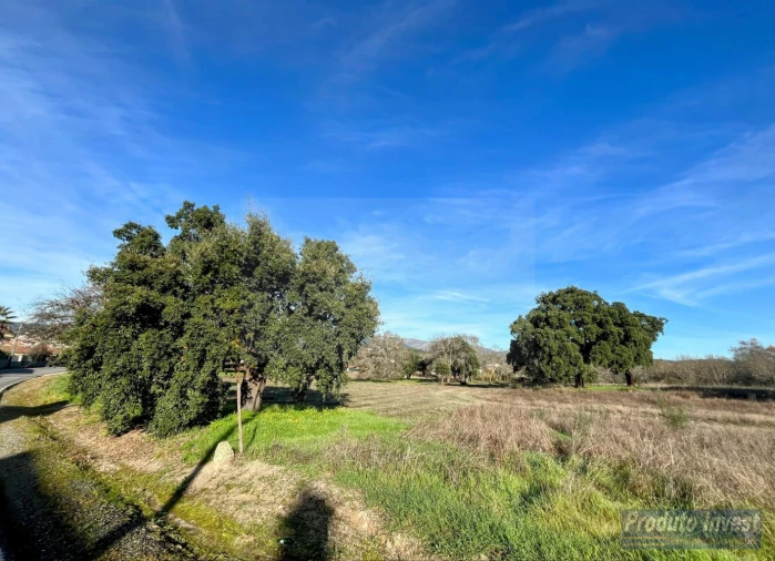 Terreno para Venda em Soalheira Foto 6