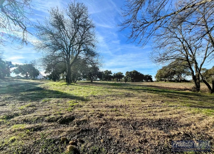 Terreno para Venda em Soalheira Foto 5