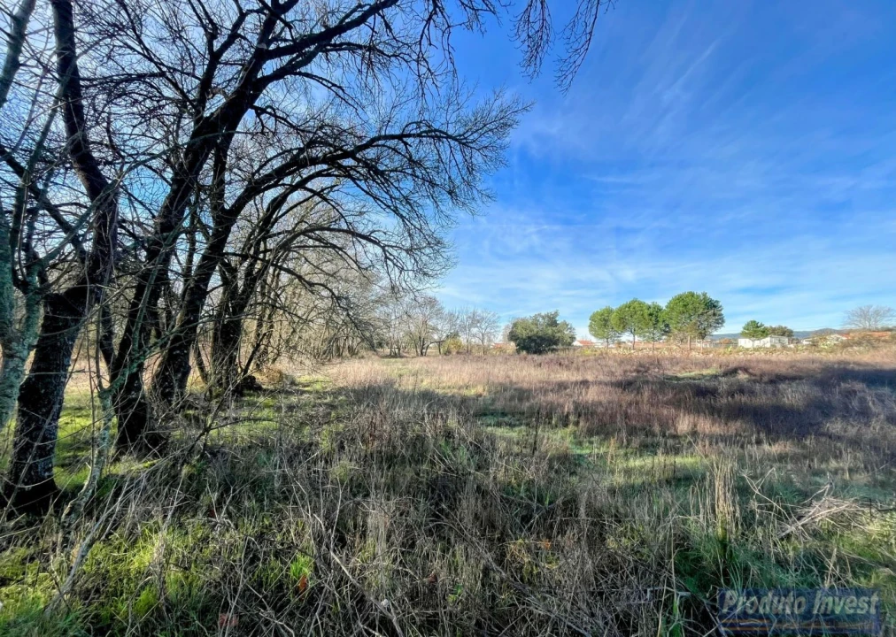 Terreno para Venda em Soalheira Foto 4