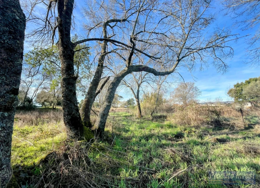 Terreno para Venda em Soalheira Foto 7