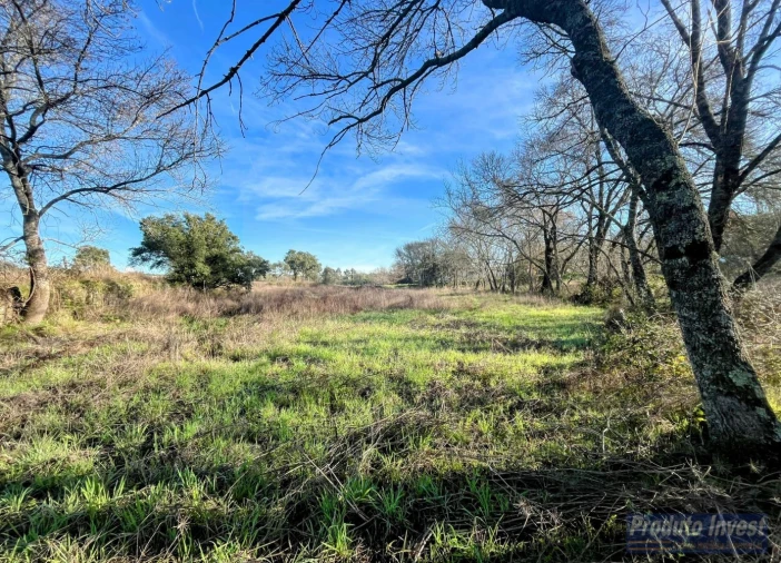 Terreno para Venda em Soalheira Foto 8
