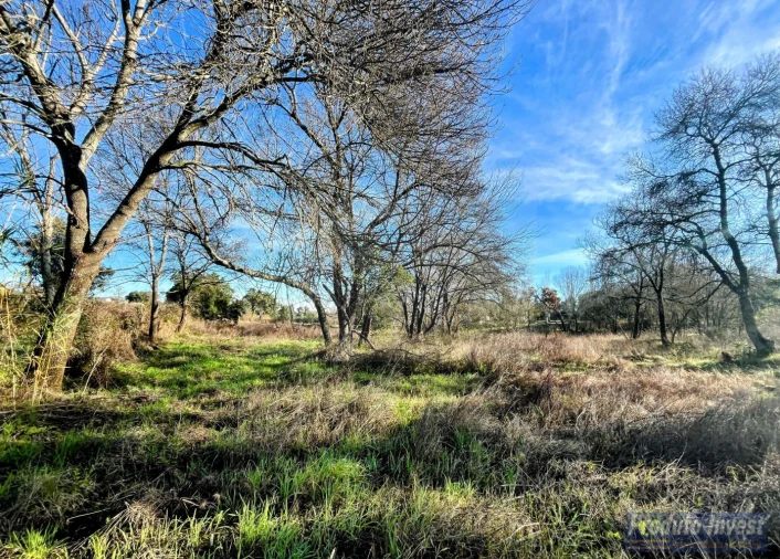Terreno para Venda em Soalheira Foto 10