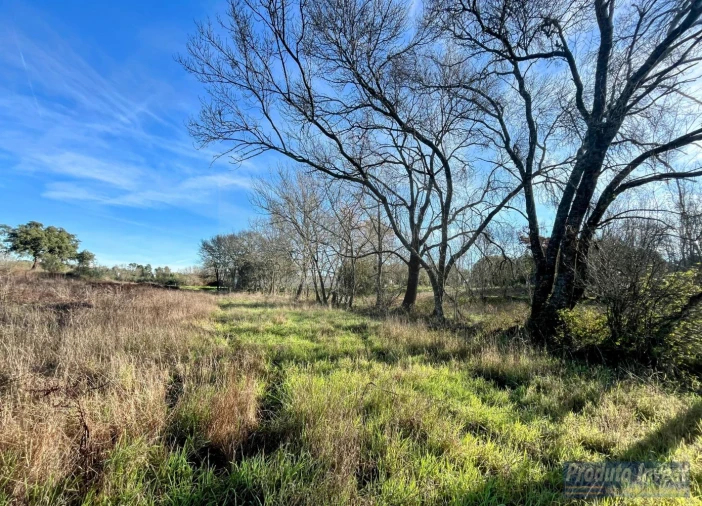 Terreno para Venda em Soalheira Foto 6
