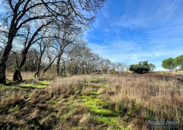 Terreno para Venda em Soalheira Foto 5