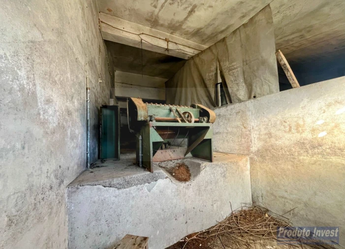 Loja para Venda em Louriçal do Campo Foto 25