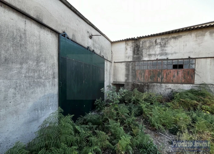 Loja para Venda em Louriçal do Campo Foto 7