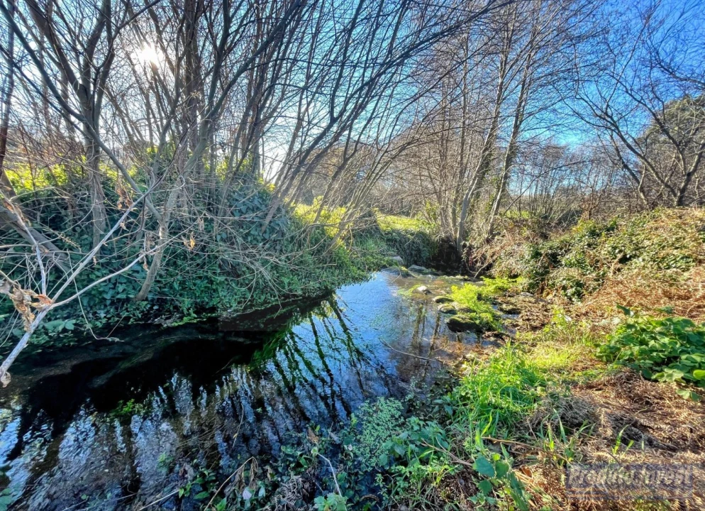 Loja para Venda em Louriçal do Campo Foto 5