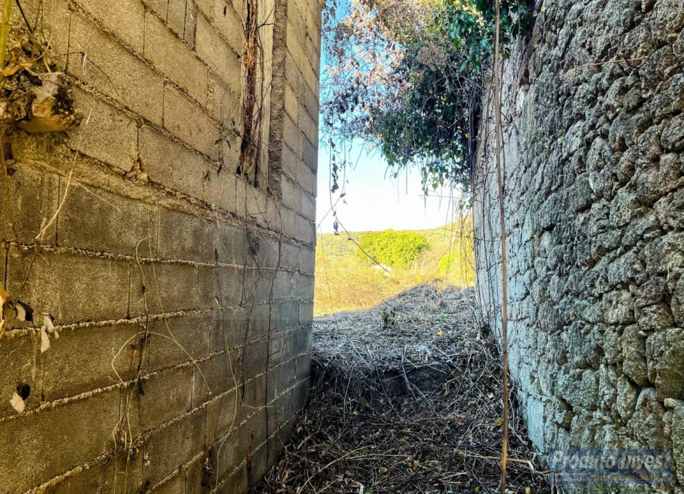 Loja para Venda em Louriçal do Campo Foto 12