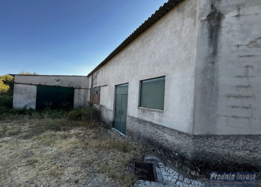 Loja para Venda em Louriçal do Campo Foto 4