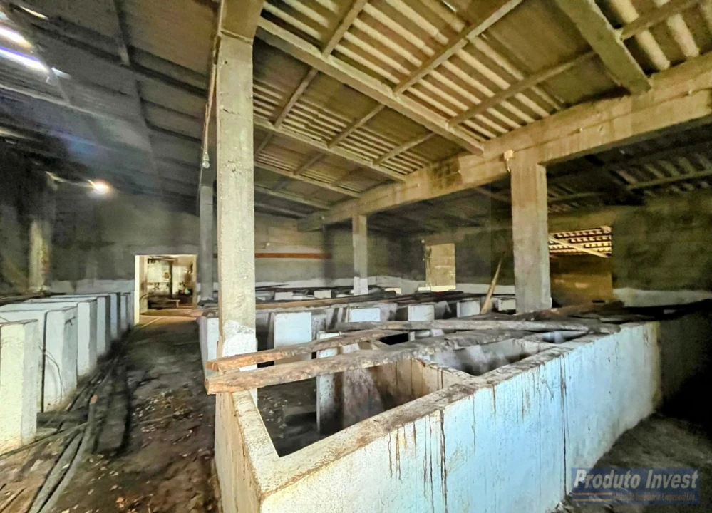 Loja para Venda em Louriçal do Campo Foto 21