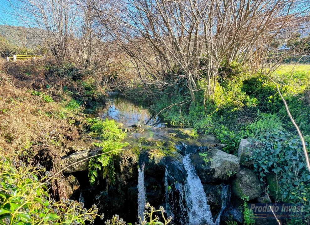Loja para Venda em Louriçal do Campo Foto 13