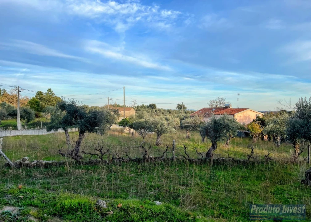 Terreno para Venda em Soalheira Foto 16