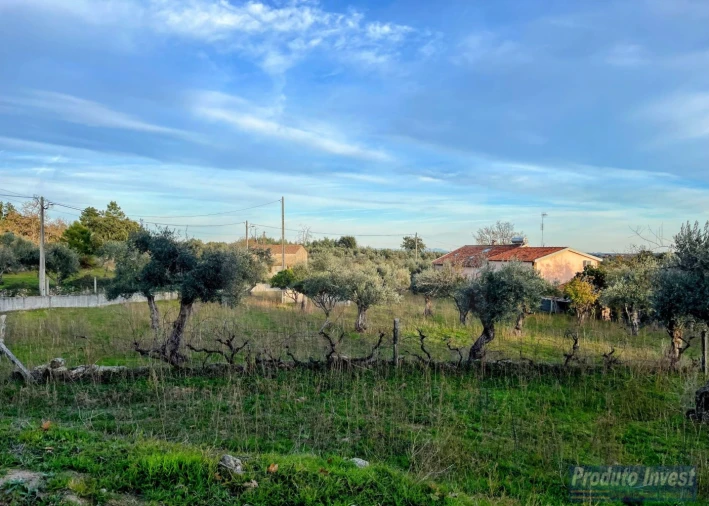 Terreno para Venda em Soalheira Foto 16