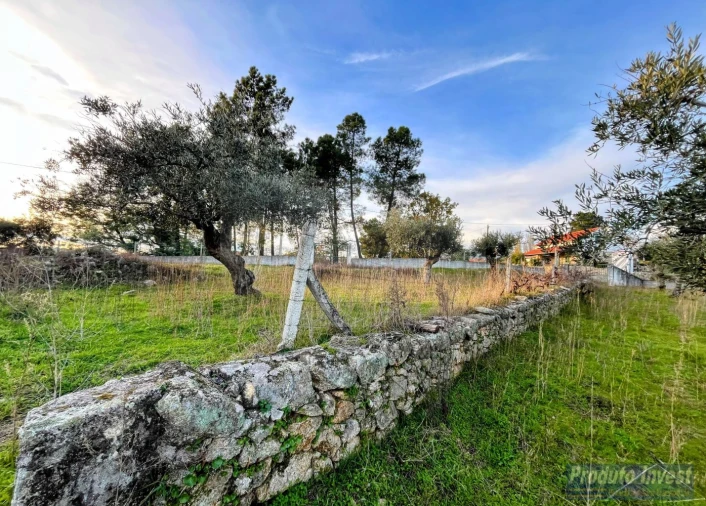Terreno para Venda em Soalheira Foto 4