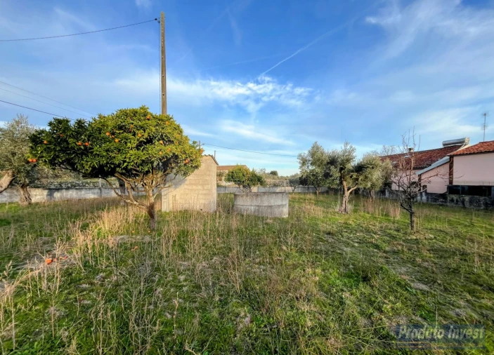 Terreno para Venda em Soalheira Foto 7
