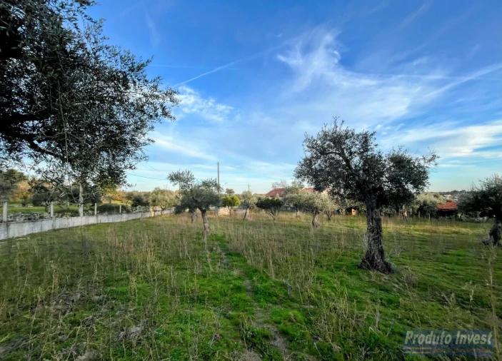 Terreno para Venda em Soalheira Foto 6