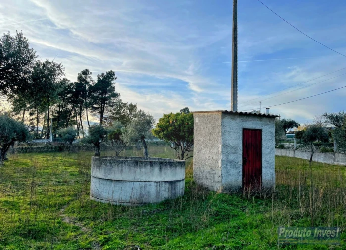 Terreno para Venda em Soalheira Foto 2