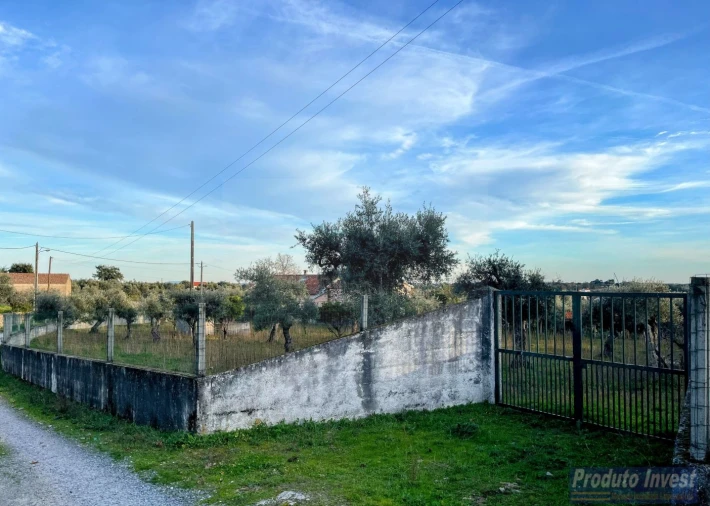Terreno para Venda em Soalheira