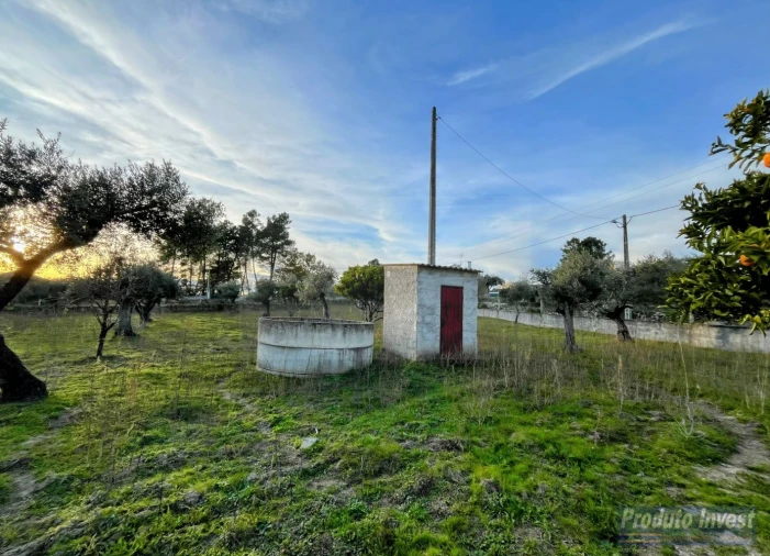 Terreno para Venda em Soalheira Foto 9