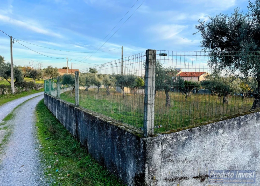 Terreno para Venda em Soalheira Foto 3