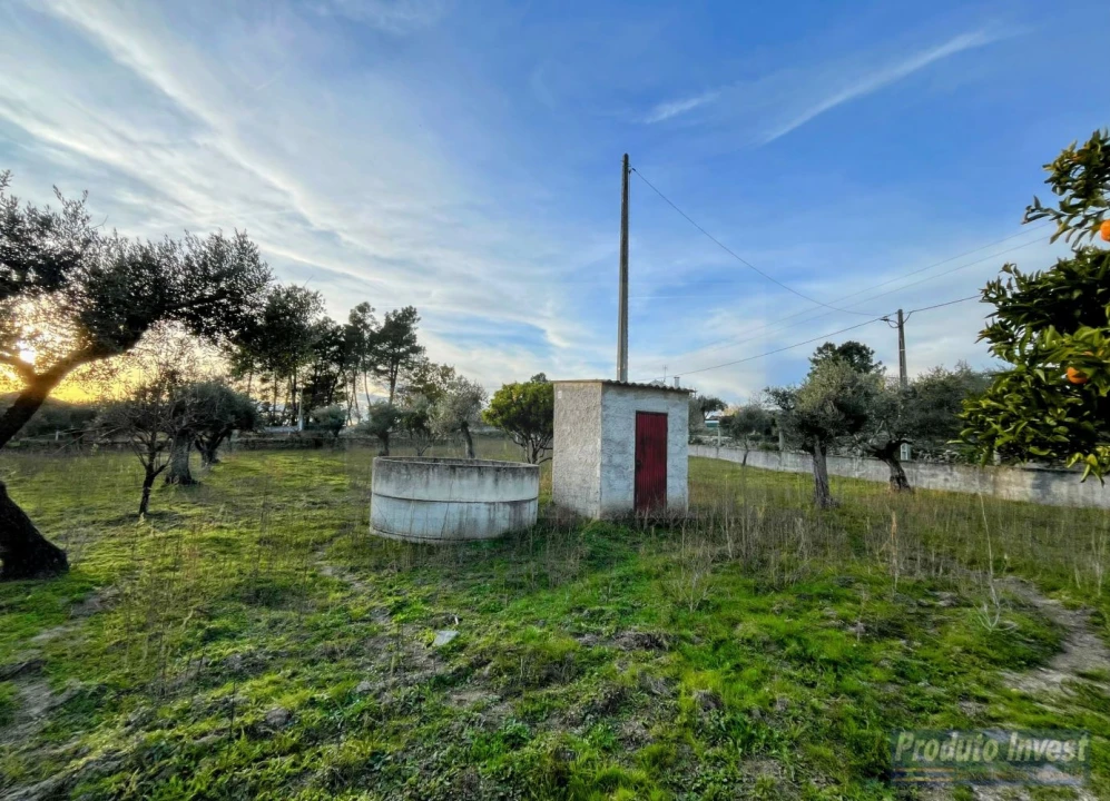 Terreno para Venda em Soalheira Foto 9