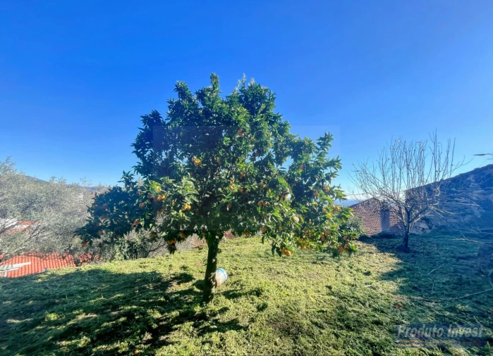 Moradia T3 para Venda em Alpedrinha Foto 20