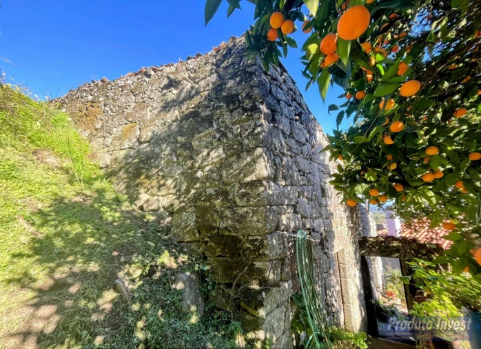 Moradia T3 para Venda em Alpedrinha Foto 3