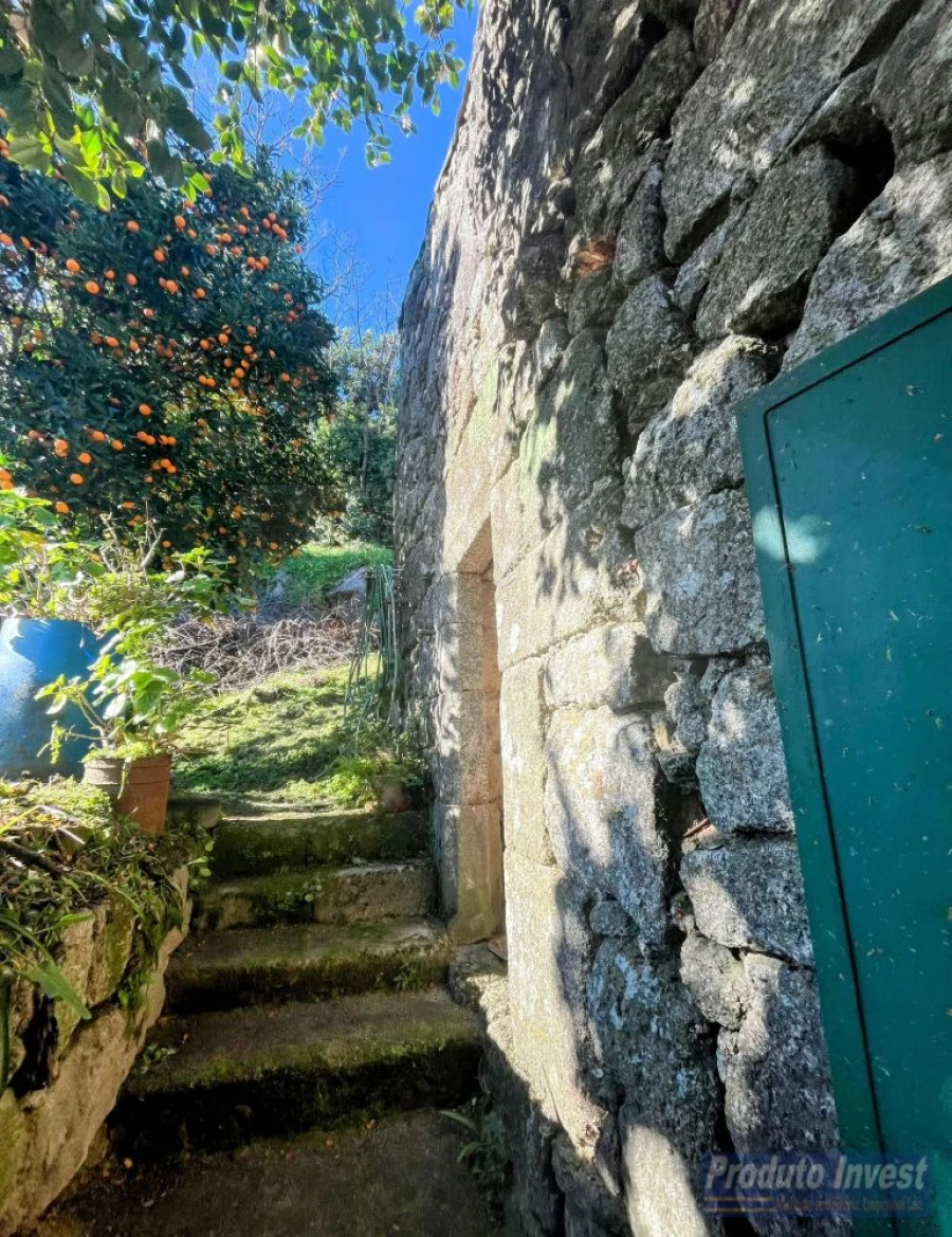 Moradia T3 para Venda em Alpedrinha Foto 30