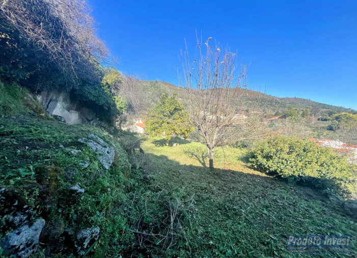 Moradia T3 para Venda em Alpedrinha Foto 18