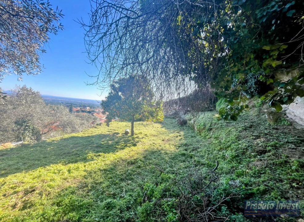 Moradia T3 para Venda em Alpedrinha Foto 23